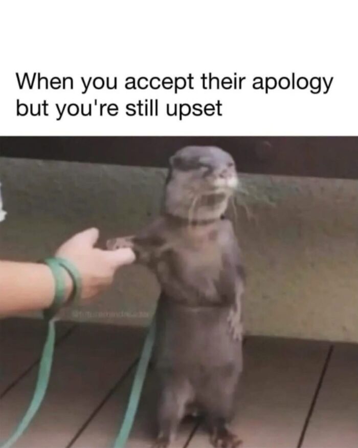 Otter reluctantly shaking a human hand, illustrating a relatable meme to cope with anxiety and mixed emotions.