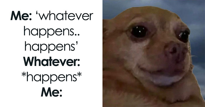 50 Hilariously Relatable Memes To Help You Cope With Anxiety