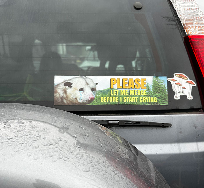 A funny bumper sticker on a car window showing a crying possum with the text please let me merge before I start crying.