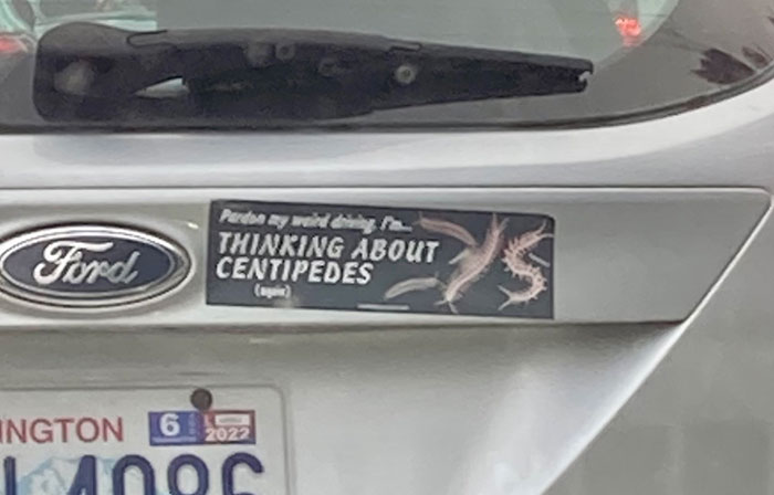 Car bumper sticker on a Ford with a funny message about thinking about centipedes, snapped on the road.