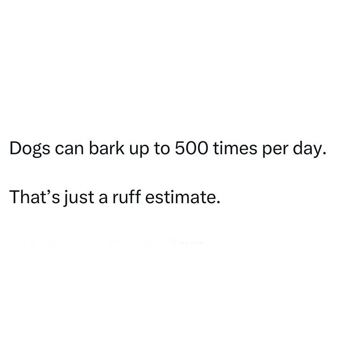 Text meme with a pun about dogs barking up to 500 times daily, included in a collection of memes to laugh at.