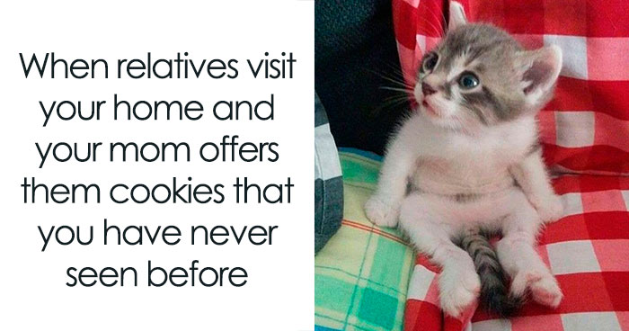 This Facebook Page With Nearly 200K Followers Has The Funniest Meme Collection And Here Are 50 Of Them