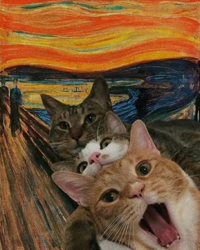 Three funny cute cats posing with surprised expressions in front of a colorful painted background resembling The Scream artwork.