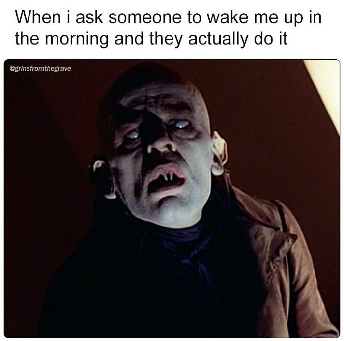 Hilarious horror movie meme showing a scared vampire with pale face and caption about being woken up in the morning.