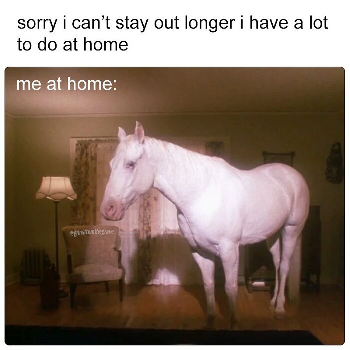 White horse standing inside a dimly lit room with furniture, humorously illustrating horror movie memes about staying home.