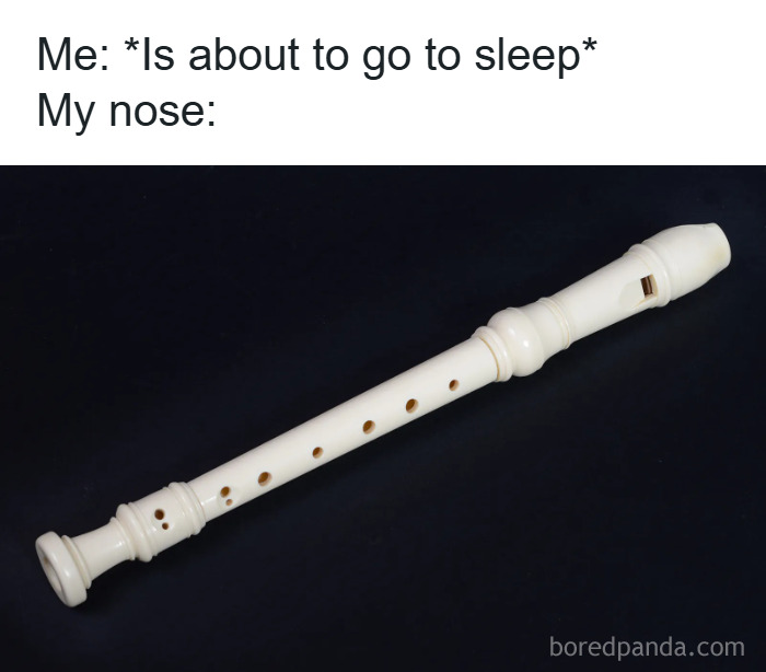 Funny insomnia meme showing a white recorder flute on a black background illustrating a racing nose before sleep.