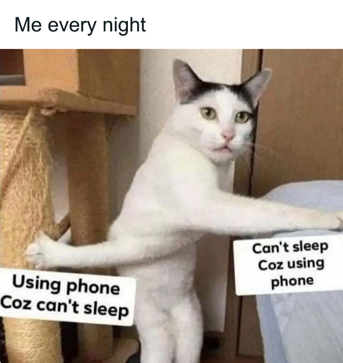 Cat stretching between a scratching post and bed holding signs about using phone and insomnia in funny insomnia memes.