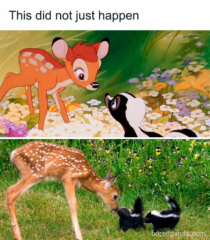 Animated and real deer interacting gently with skunks in a wholesome animal meme to brighten your day.
