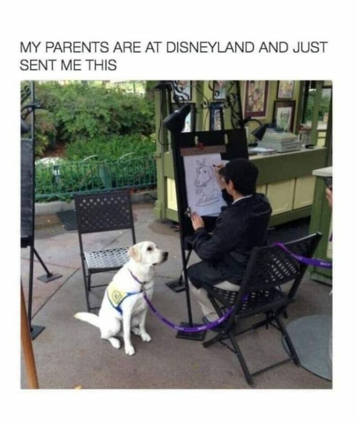 Person sketching a dog at an outdoor stand, a dog wearing a vest patiently sitting nearby, wholesome animal meme.