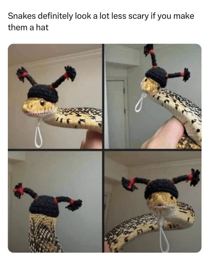 Snake wearing a small knitted hat with two antennae, showcasing a cute and wholesome animal meme moment.