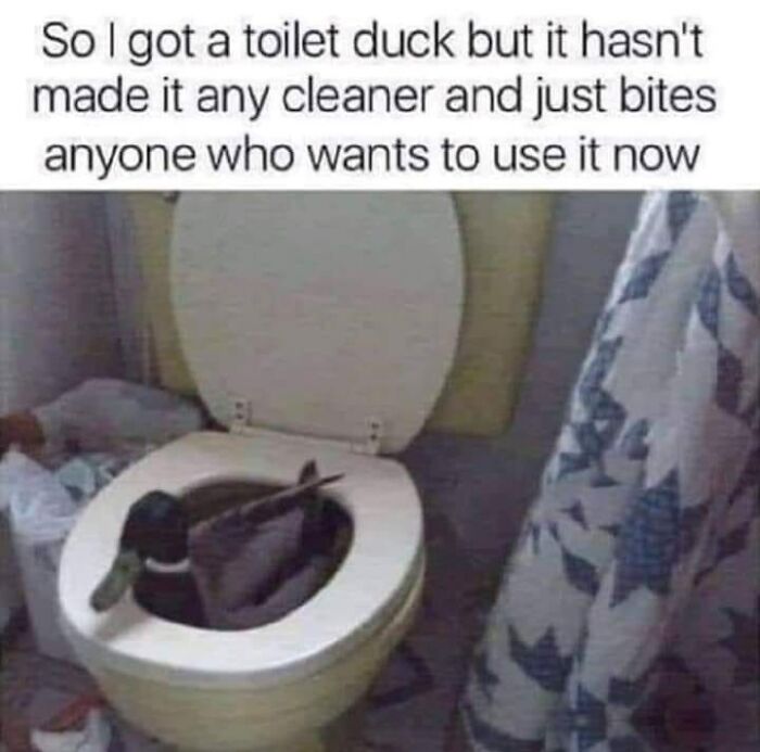 Toilet duck sitting inside a toilet bowl with a caption describing it biting anyone who tries to use it, animal memes humor.