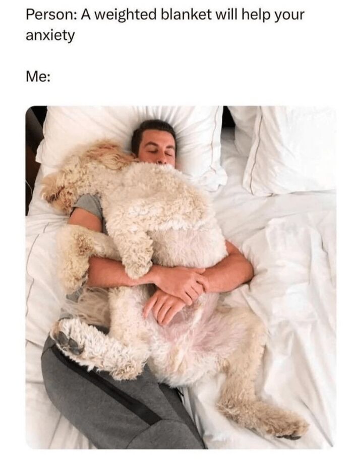 Man lying in bed hugging a large fluffy dog, showcasing wholesome animal memes that bring comfort and reduce anxiety.