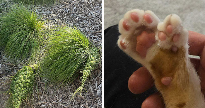 This Group Is Dedicated To Sharing Somewhat Interesting Pics, Here Are 50 To Mildly Intrigue You (New Pics)