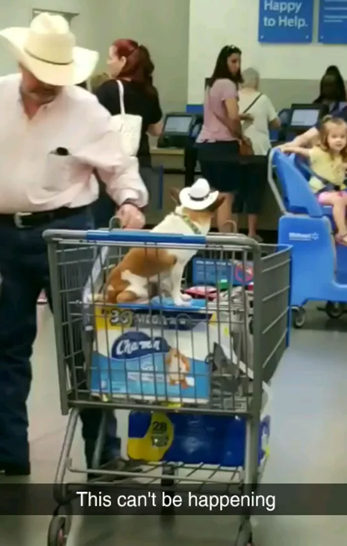 Man wearing cowboy hat pushes shopping cart with dog also wearing cowboy hat inside Walmart store checkout line.