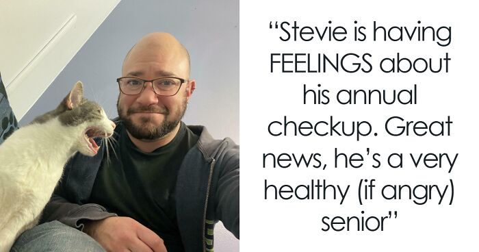 “A Picture Tells A Thousand Yells”: 50 Dramatic Cats Who Were Shouting “Meow” In Capitals (New Pics)