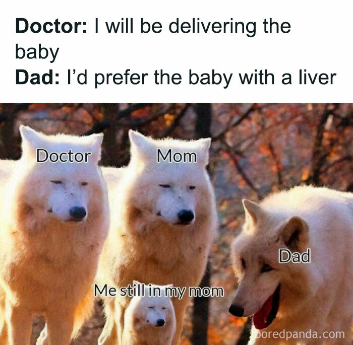 Four wolves labeled Doctor, Mom, Dad, and baby with Dad making a hilariously cringy joke about delivering the baby.