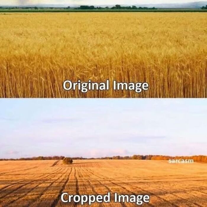 Comparison of original and cropped images showing a field, illustrating cringy jokes and puns about image cropping.