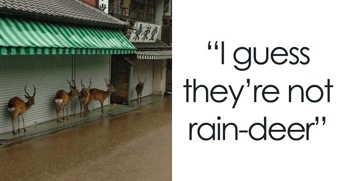 50 Dad Jokes That Are So Bad, They’re Actually Funny