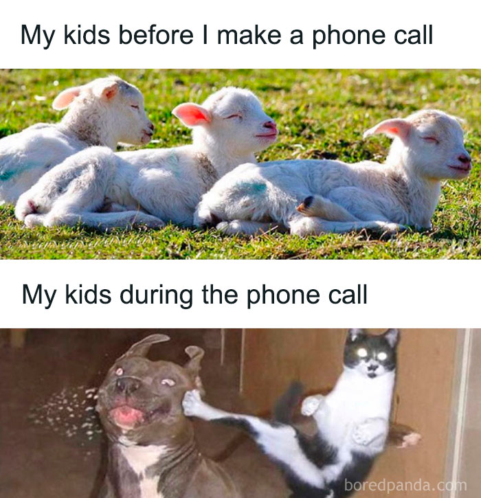 Sleeping lambs representing calm kids before a phone call and a cat kicking a dog showing chaos during the call parenting memes.