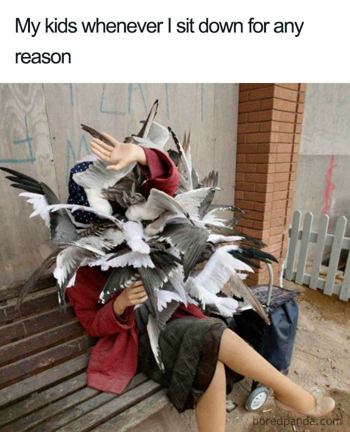 Person sitting on a bench covered by a flock of birds, illustrating relatable parenting memes about overwhelming kids.