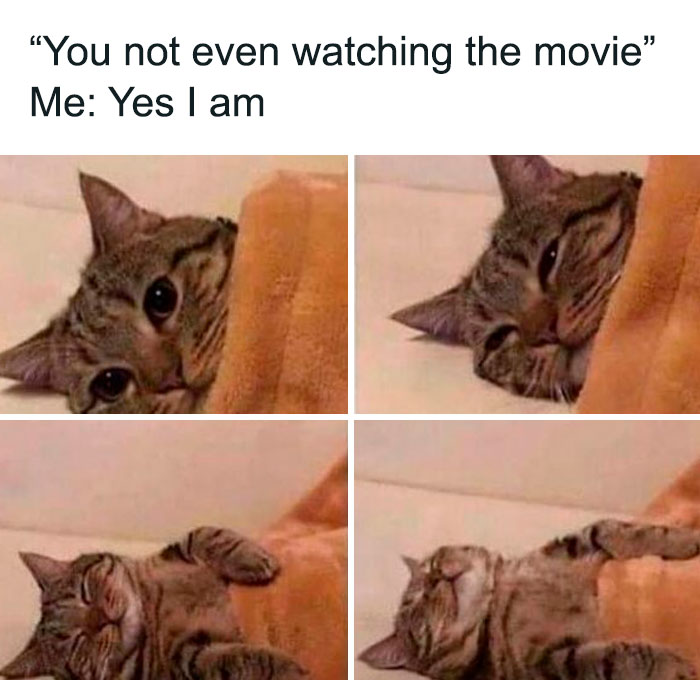 Cat lying under a blanket with funny expressions, illustrating relatable moments in hilarious relationship memes.