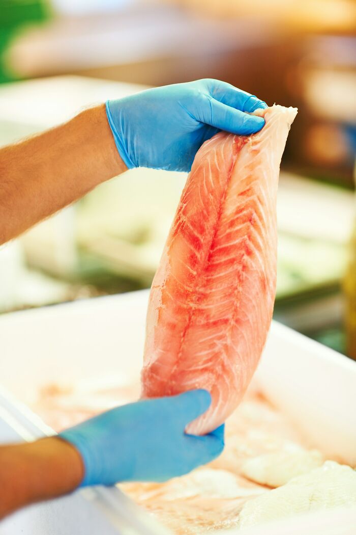 Person wearing blue gloves holding a fresh fish fillet, demonstrating simple car stuff skills for maximum results