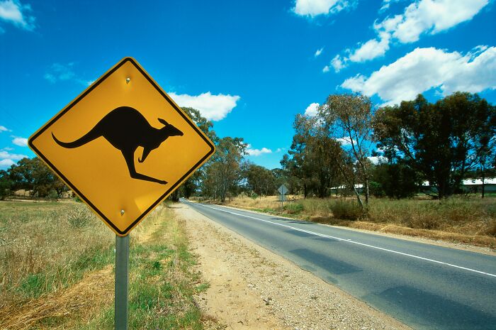 Yellow kangaroo crossing road sign beside rural highway under a bright blue sky for World Kangaroo Day facts.