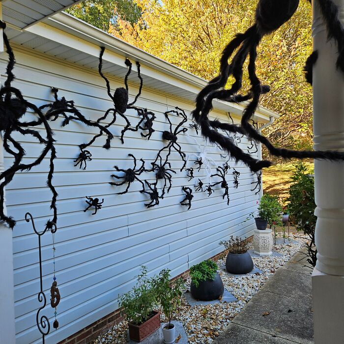 You Should See My Tuffet!