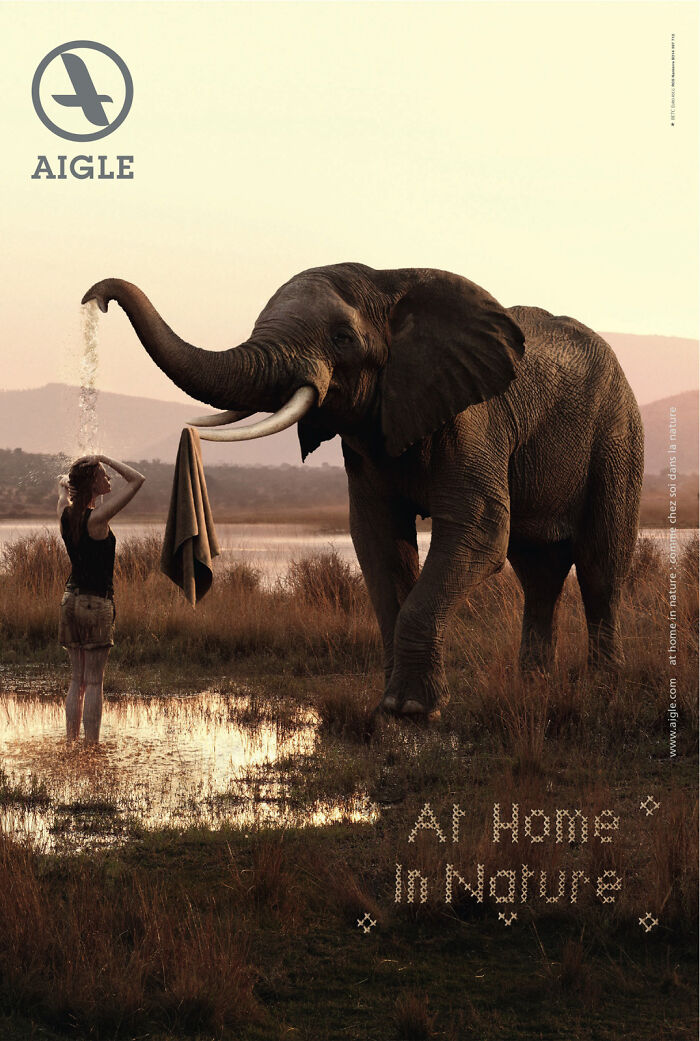 Elephant in an ad campaign gently pouring water over a woman, illustrating creative elephant advertising concepts in nature.