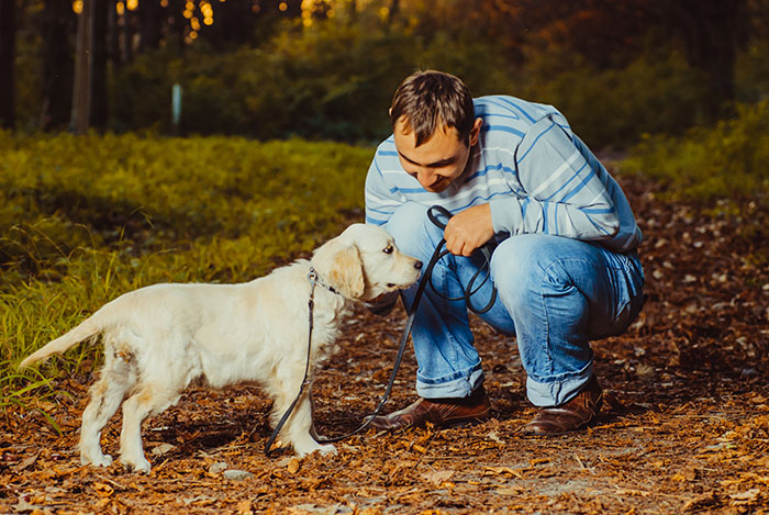 Man upset holding leash, expressing frustration with unwanted puppy responsibility during a walk in the forest.