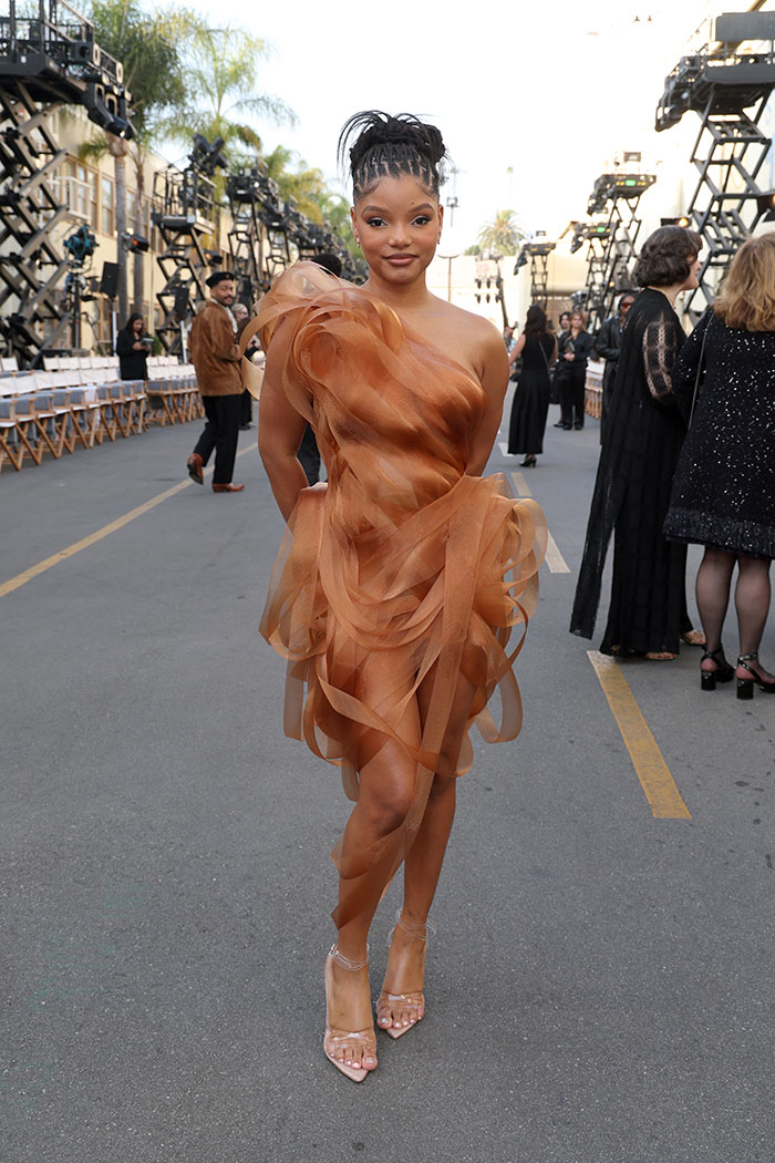 Woman in a sheer, layered brown dress at an outdoor event, showcasing one of the worst and weirdest celebrity looks.