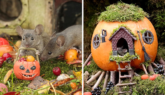 I Built A Tiny Halloween Village For Wild Mice In My Garden (29 Pics)