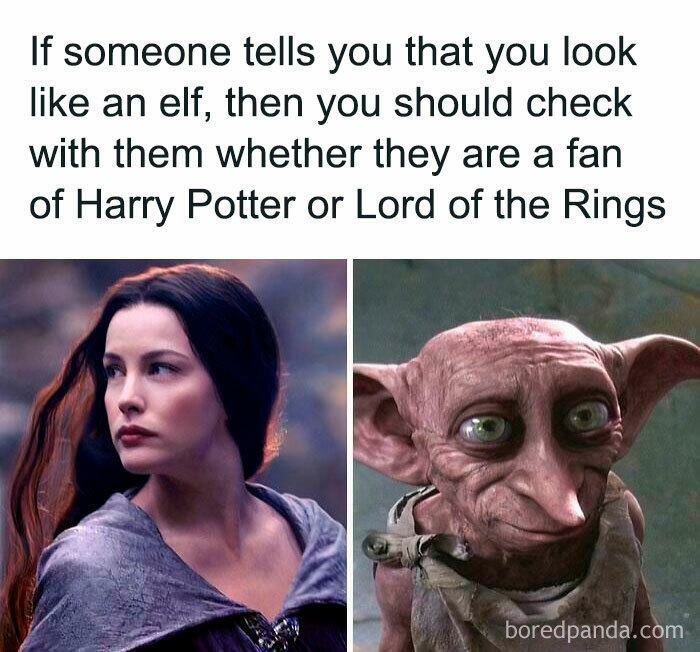 Comparison meme about elves referencing Harry Potter and Lord of the Rings fandoms for Harry Potter memes.