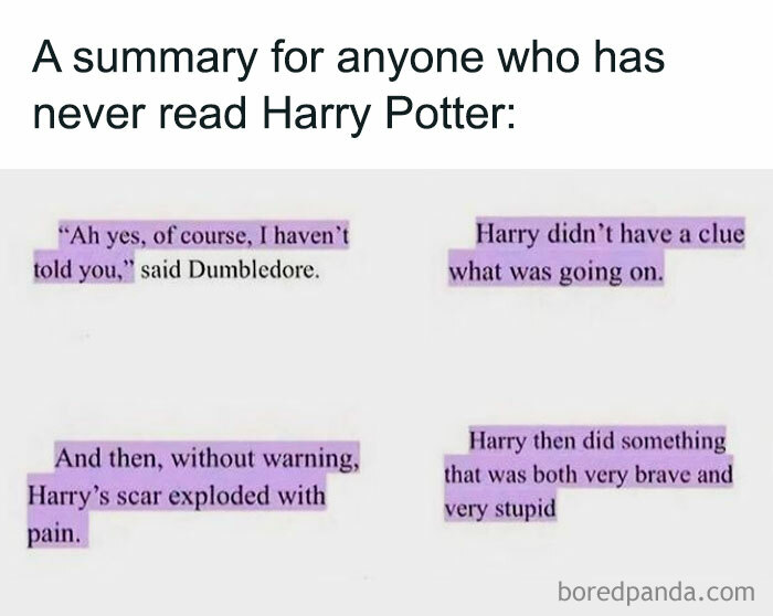Summary of Harry Potter novel with humorous quotes, highlighting key moments in cozy Gryffindor common room memes.