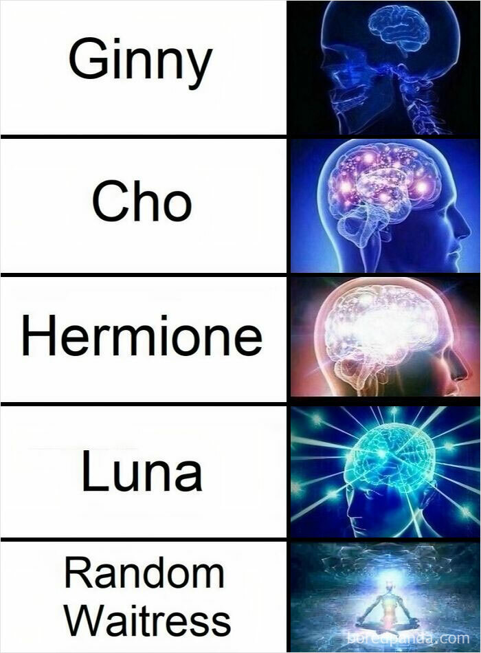 Harry Potter meme showing increasing brain activity with characters Ginny, Cho, Hermione, Luna, and a random waitress.
