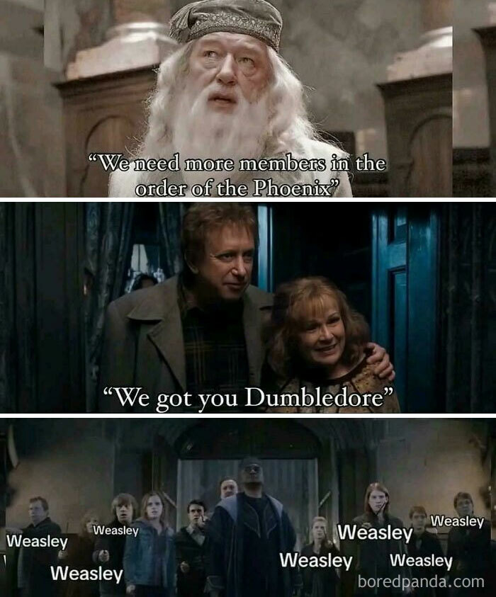 Harry Potter meme featuring Dumbledore and multiple Weasley characters, perfect for cozy Gryffindor common room humor.