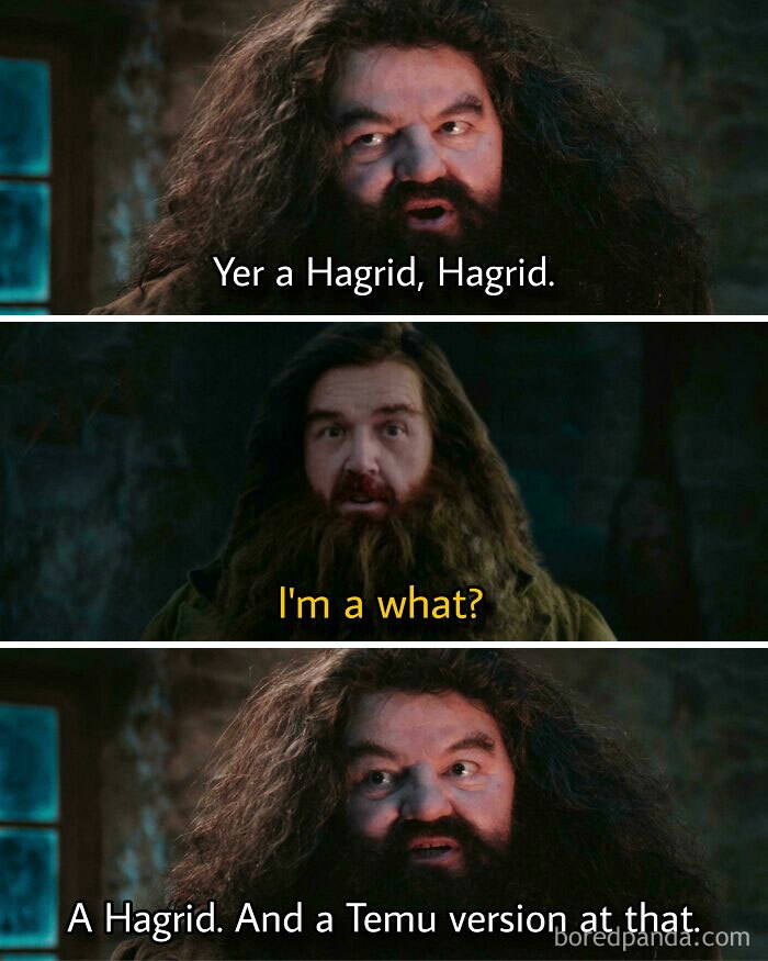 Harry Potter meme with Hagrid and a Temu version in a humorous three-panel format.