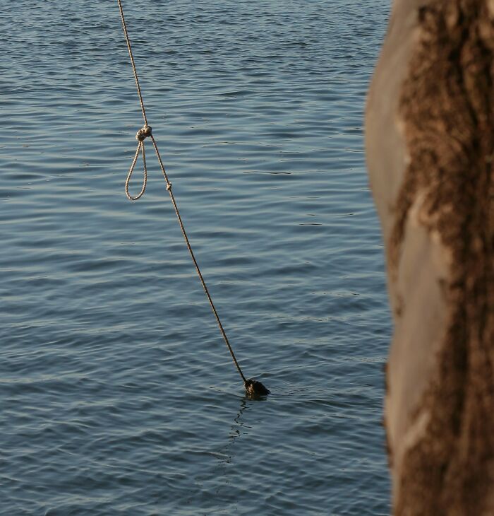 Rope hanging over calm water near a boat, symbolizing moments related to near-death experiences witnessed.