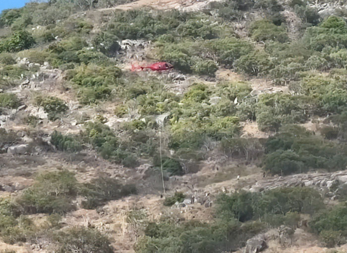 Helicopter rescue on remote island where elderly woman was left stranded by a cruise ship amid dense shrubbery and rocky terrain.