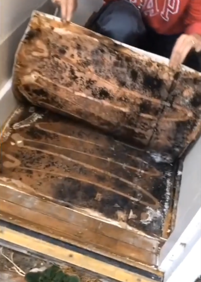 Woman discovering secret feature hidden under floor with wood panel lifted, revealing a hidden space in new home.