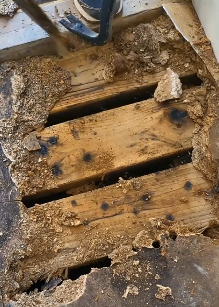 Old wooden floorboards revealed under damaged flooring as woman discovers secret feature hidden under her floor in new home.