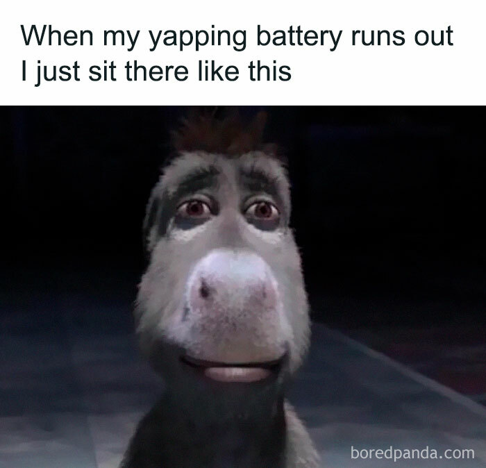 Animated donkey with a tired expression in a relatable meme about feeling drained, illustrating hilarious and relatable memes.
