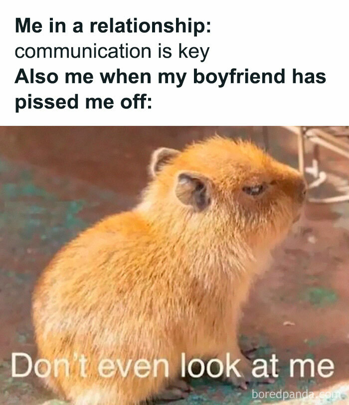 Angry capybara with text about communication and boyfriend, a relatable meme for hilarious and relatable memes.