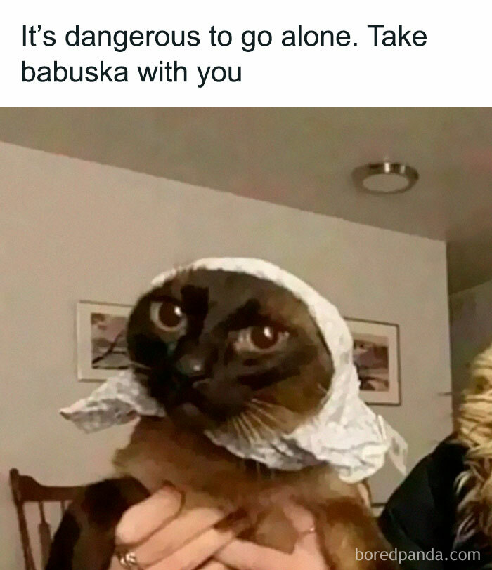 Funny relatable meme featuring a cat wearing a babushka to lighten work stress and boost mood.