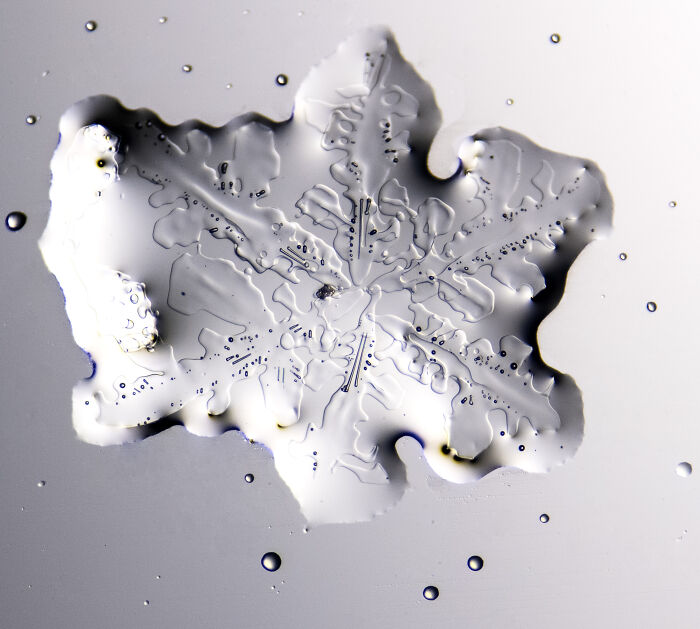 Close-up microscopic image of a detailed snowflake from the 2025 Nikon Small World photomicrography contest.