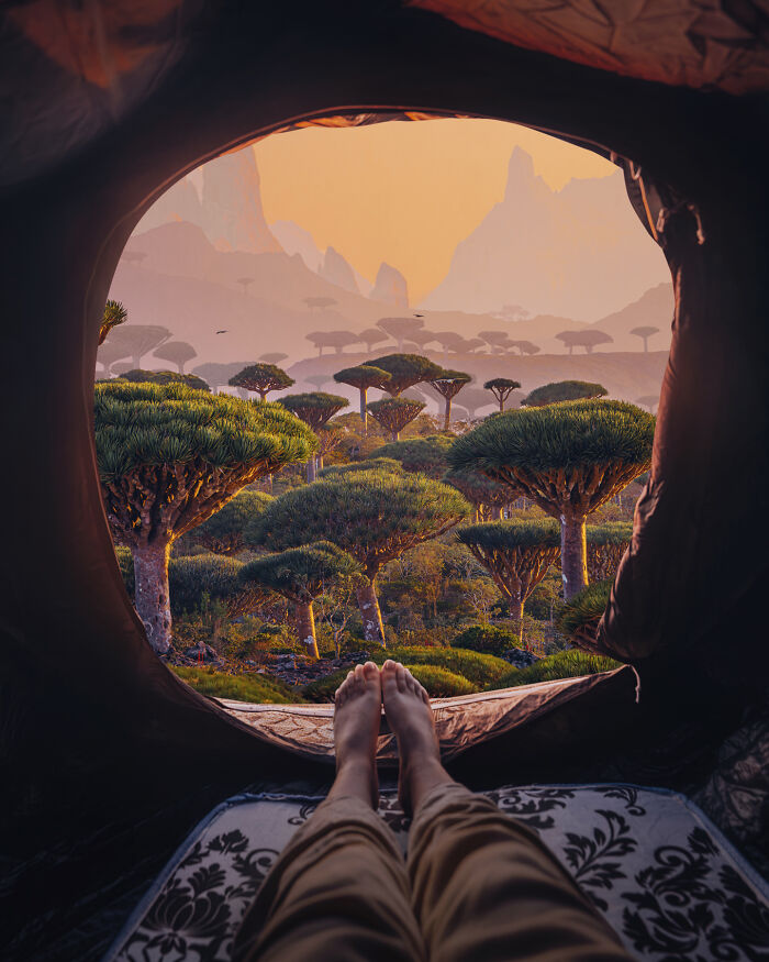 Views From The Tent In The Morning