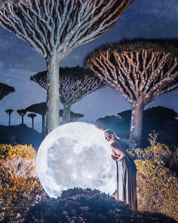 Creative Shooting In Dragon's Blood Trees At Night. We Brought This Moon By Plane