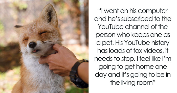 Guy Has A Weird Obsession With Wild Foxes, Dreams Of Having One As A Pet, Wife’s Patience Runs Out