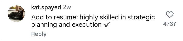 Comment on social media praising a woman for her pro revenge on cheating boyfriend, with 4737 likes visible.