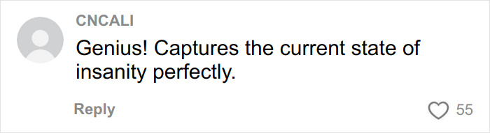 Comment praising an incredibly elaborate Anti-MAGA Halloween display capturing current insanity perfectly, with 55 likes.